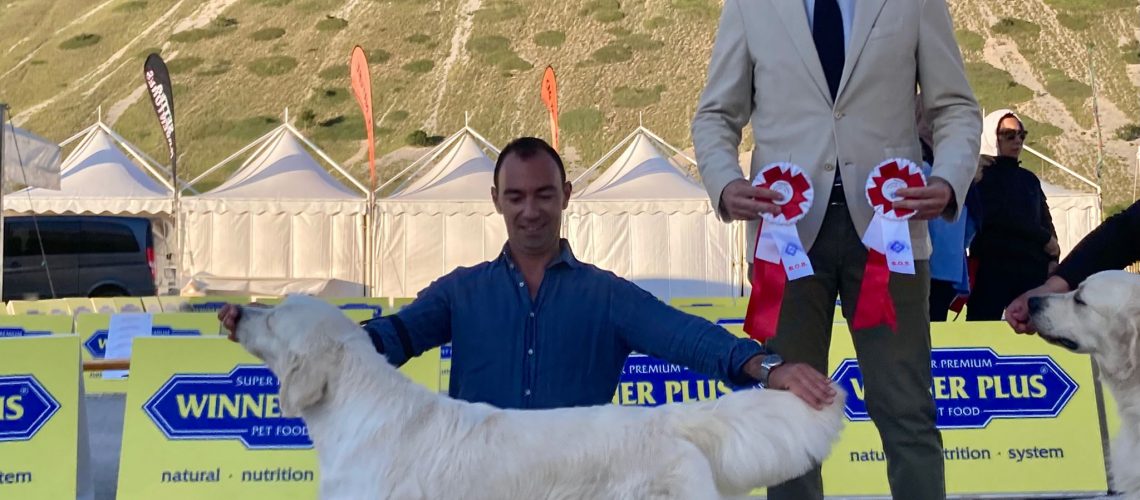 Calipso Campionessa Italiana